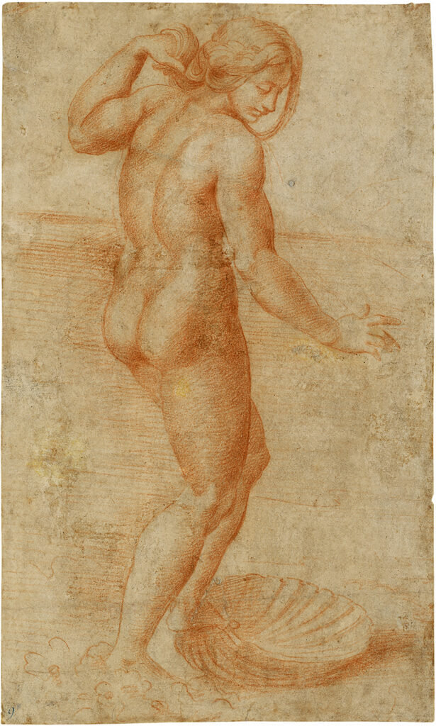 Giulio Pippi gen. Giulio Romano (Rom 1499 – 1546 Mantua), Venus Anadyomene, um 1515, Rötel, 243 × 147 mm
© Staatliche Graphische Sammlung München, Inv.-Nr. 2459 Z